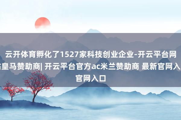 云开体育孵化了1527家科技创业企业-开云平台网站皇马赞助商| 开云平台官方ac米兰赞助商 最新官网入口