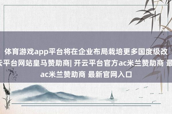 体育游戏app平台将在企业布局栽培更多国度级改革平台-开云平台网站皇马赞助商| 开云平台官方ac米兰赞助商 最新官网入口